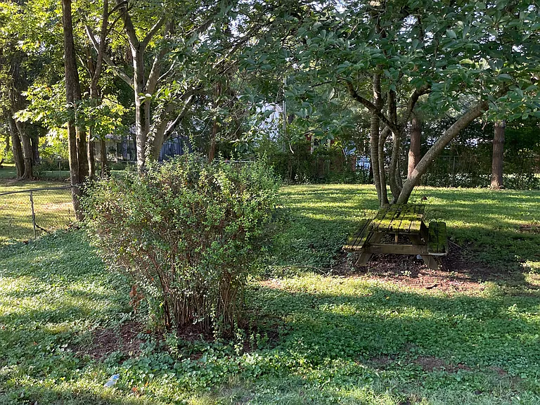 129 Lorraine Dr — Photo 20