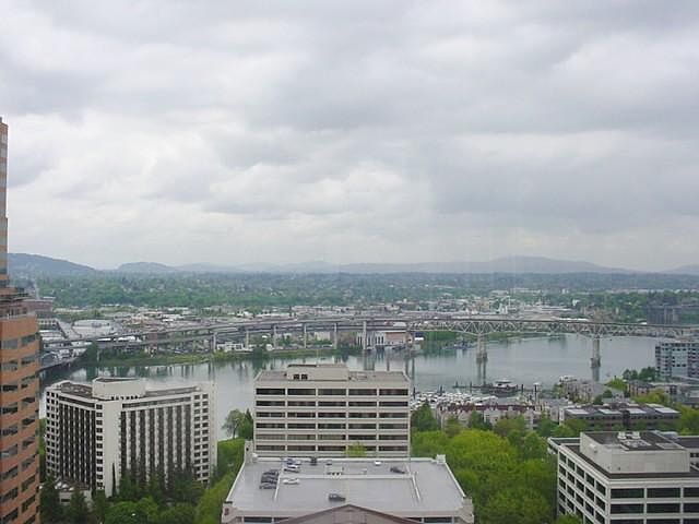 Living Room View