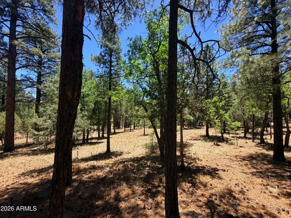4215 APACHE Drive #428, Happy Jack, AZ 86024