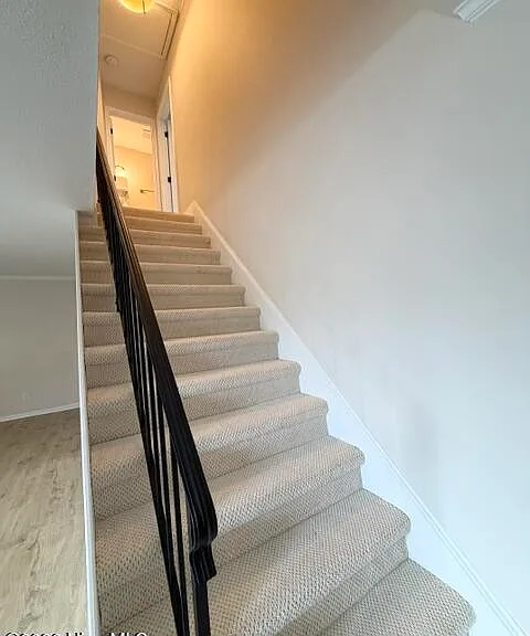24 Scott St — Photo 10