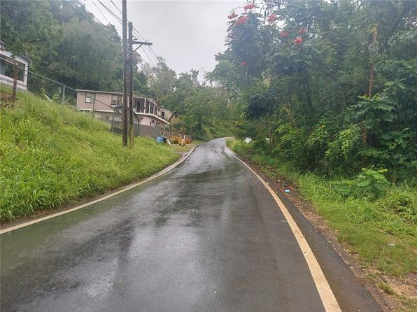 State Highway 658, Arecibo, PR 00612