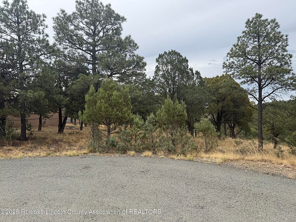 2nd image of LOT 30 Cougar Ln #4