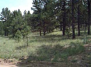 39 Rhyolite Ln, Florissant, CO 80816