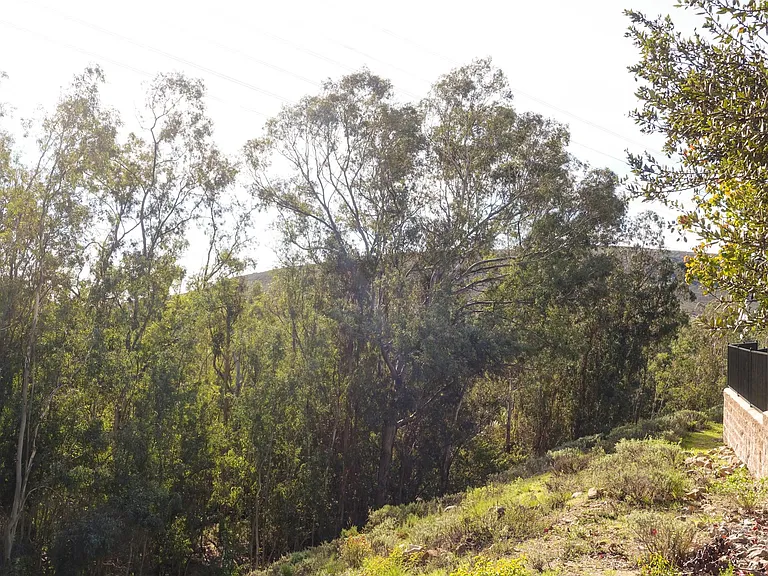 Copper Creek Trail