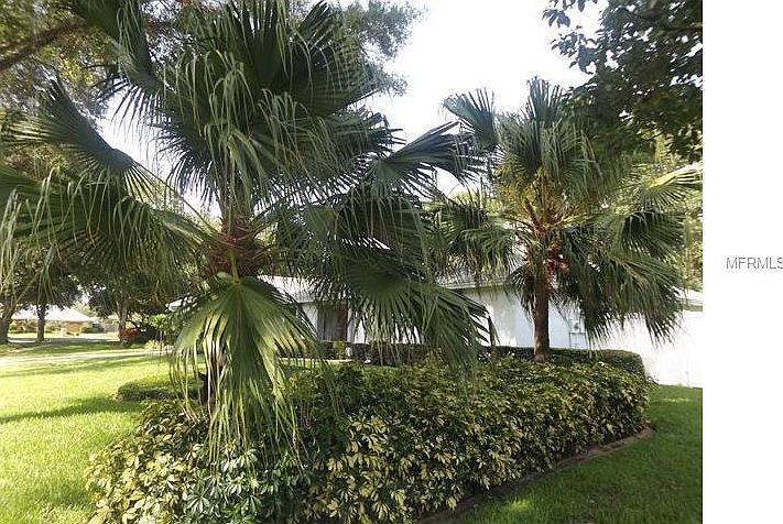 1st image of 6409 Orange Cove Dr