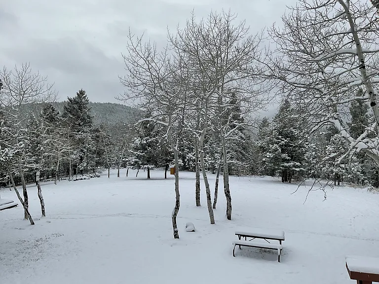 Winter serenity out your front door