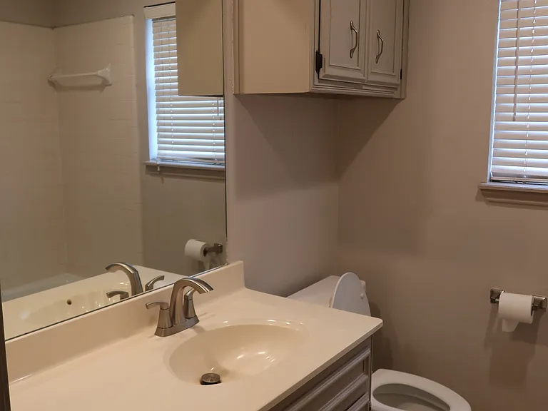 Guest bathroom