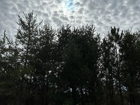 Little Rice Dam Rd #2055, Tomahawk, WI 54487