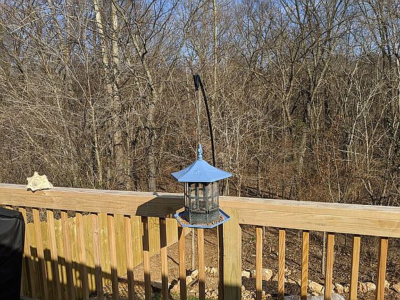 Watch Birds all Year Long