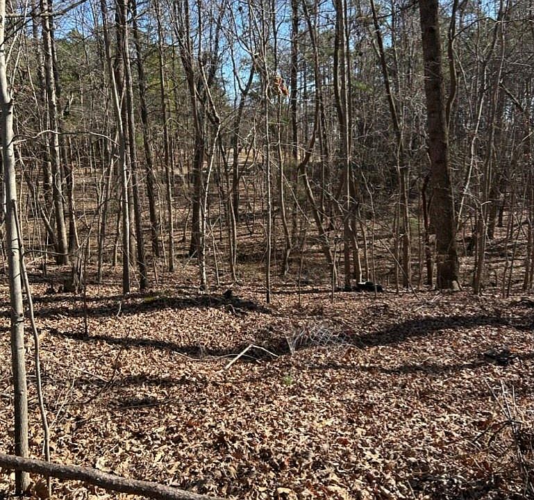 2nd image of 0 Alfred Ln