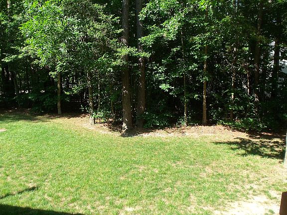 View of Mature Trees, lawn