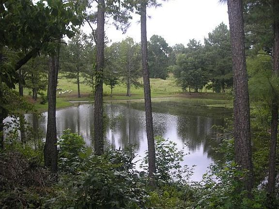 Pond