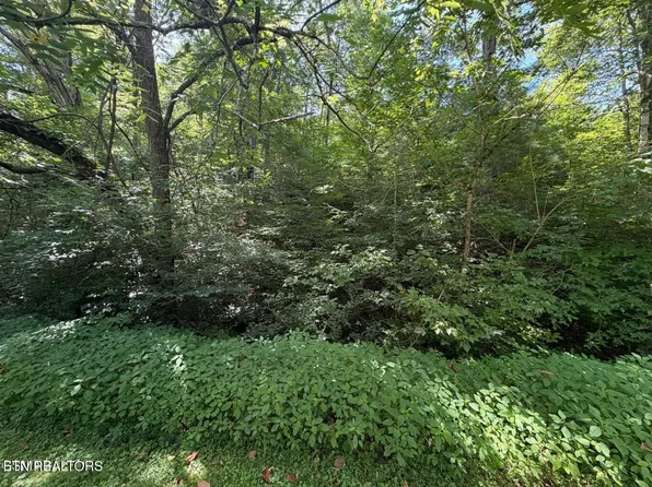 LOT 12 Smoky Mountain Way, Sevierville, TN 37876