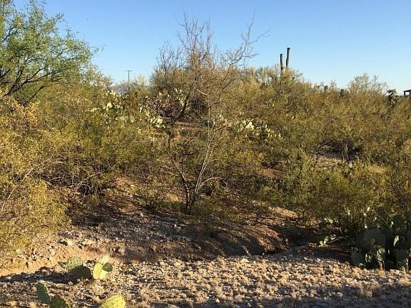 3rd image of 11986 E Saguaro Crest Pl