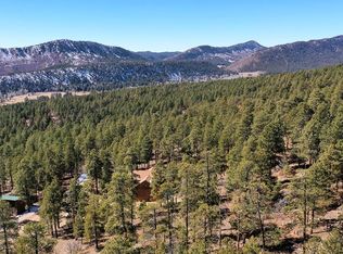 339 Antelope Dr, Bayfield, CO 81122