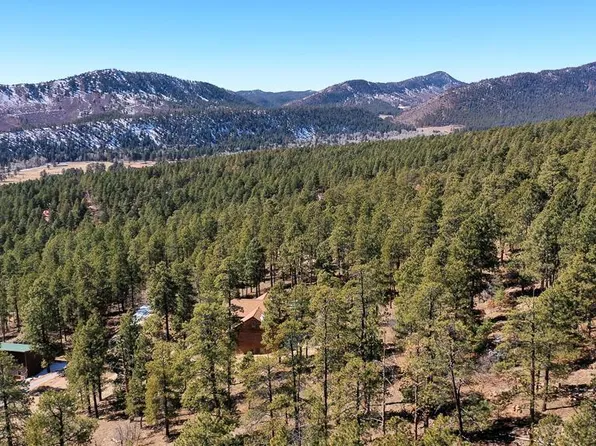 339 Antelope Drive, Bayfield, CO 81122