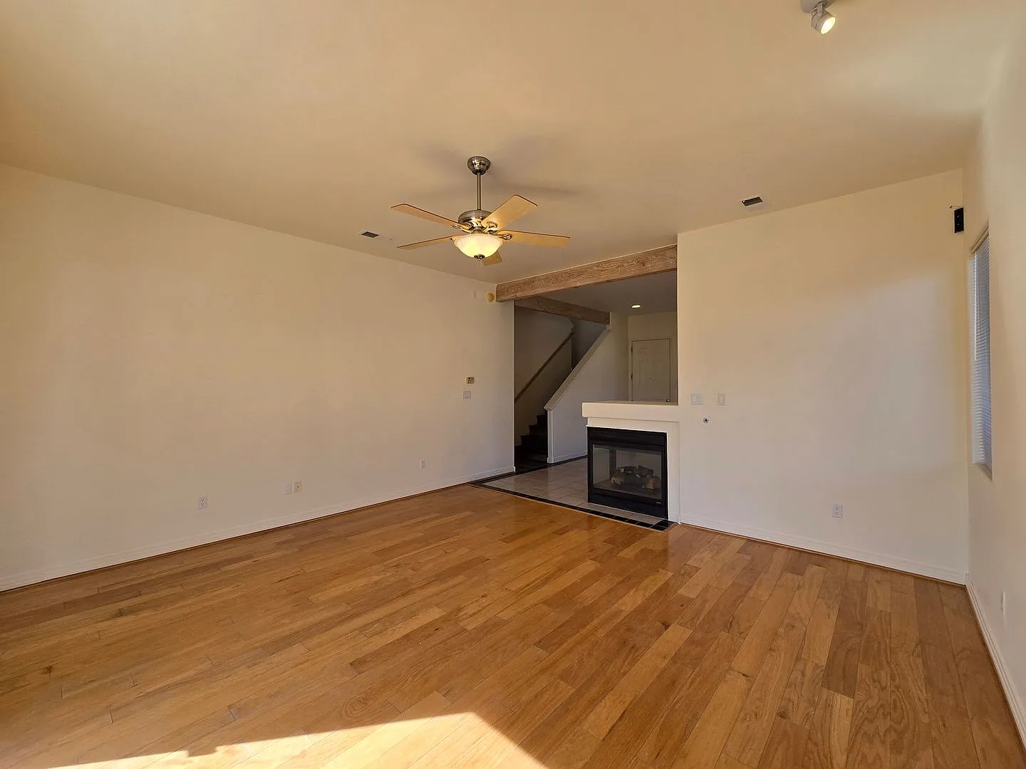 4421 Blue Juniper Loop — Photo 4