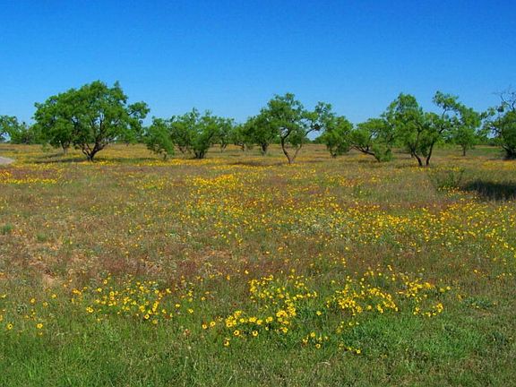 3rd image of 542 Riverwood Dr
