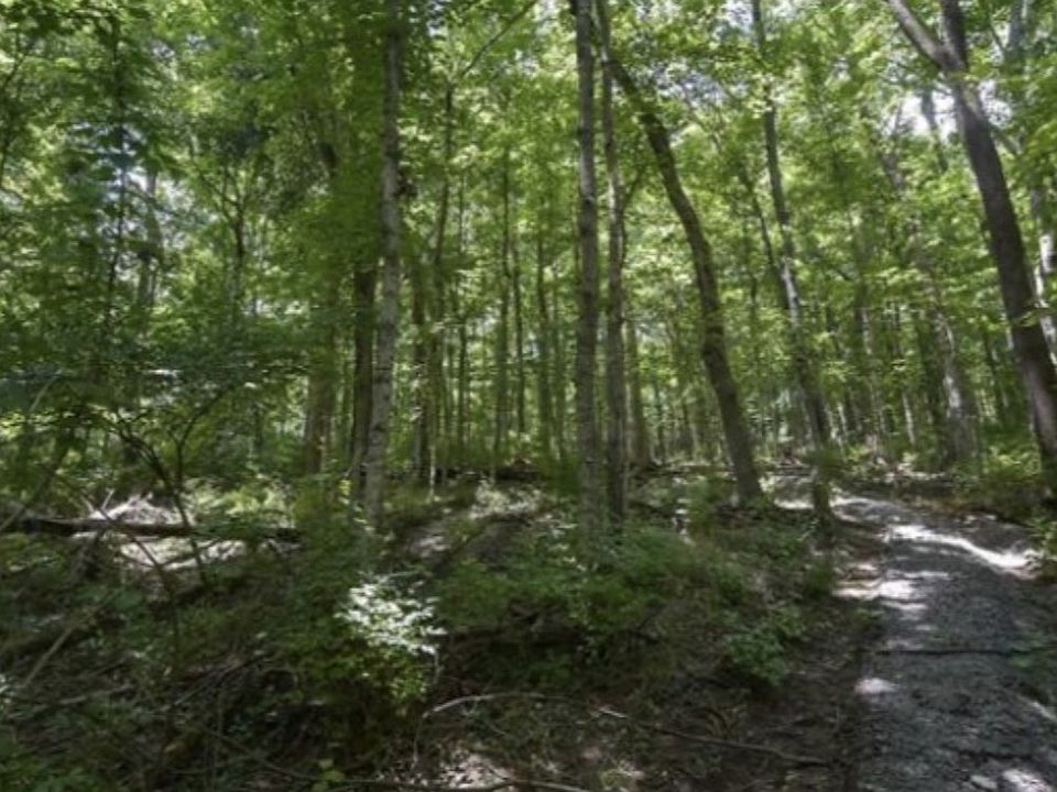 2nd image of 4357 Chickering Ln