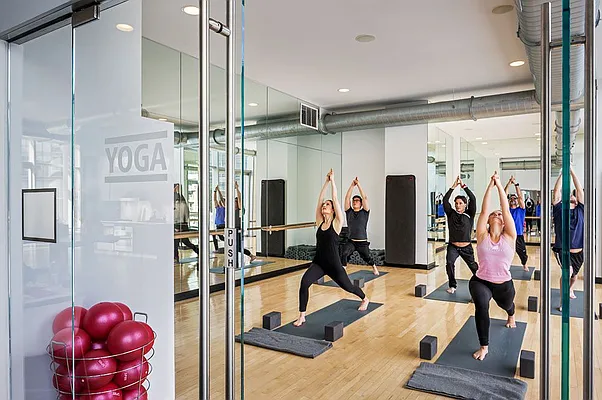 Rented by Two Trees | media 54