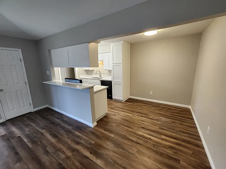 348 Spring Branch Ln — Photo 11