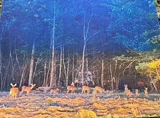 6267 Winfield Cir, Appling, GA 30802