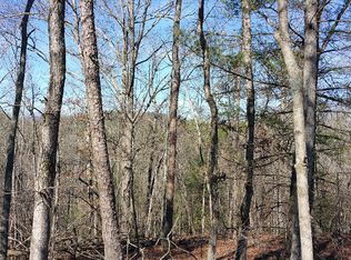 27&28 Spring Dr, Ellijay, GA 30536