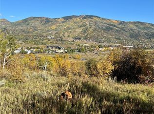 37225 William William Rd, Steamboat Springs, CO 80487