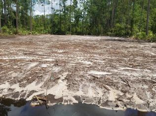 1475 Lantern Light Trl, Middleburg, FL 32068