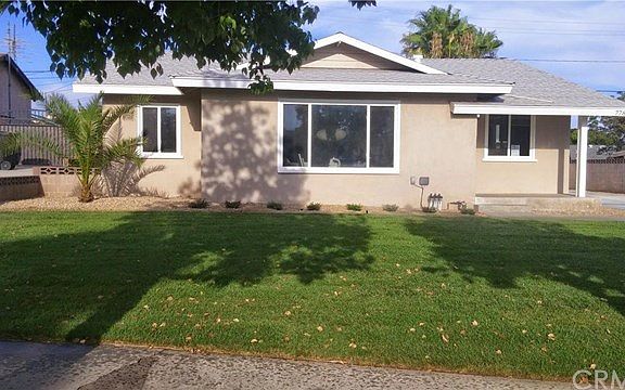 Look at that cute baby palm tree tho!