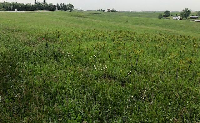 1st image of 1 Csm Hwy #1918-39