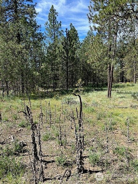 2nd image of 0 Rocky Ridge Road