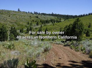 14 Mendiboure Rd, Ravendale, CA 96123