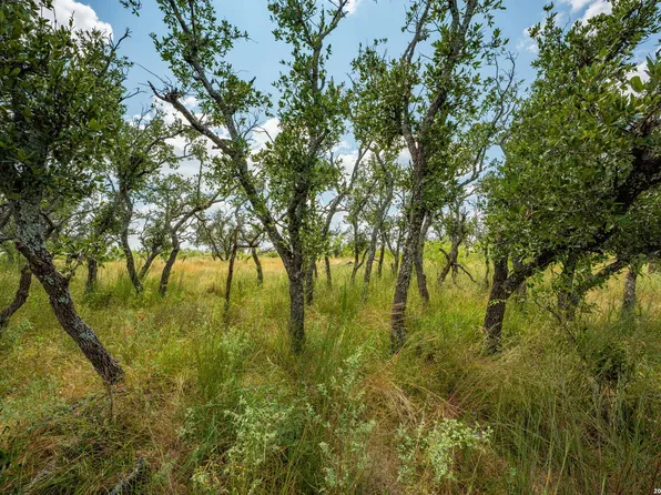 1445 Cave Wells Rd. LOT 15, Fort McKavett, TX 76841