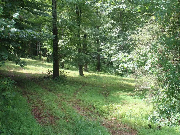 100 Cherokee Rd, Lucas, KY 42156