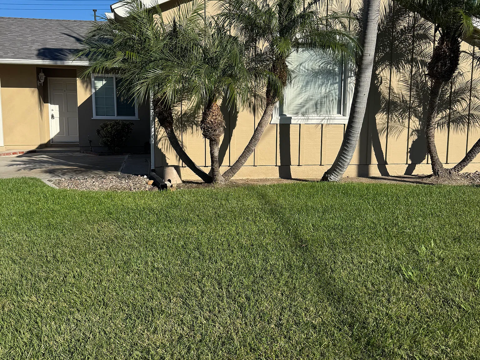 3 bed, 1232 sqft, $4,400 — Photo 3