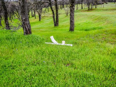18480 Brush Trail Rd, Cottonwood, CA, 96022
