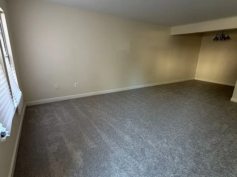 4118 Peppertree Ln — Photo 3