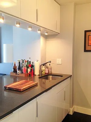 Rented by Independent Properties NYC Inc | media 2