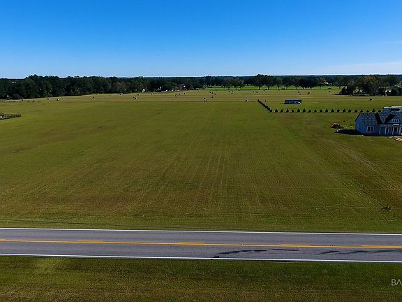 4th image of 12029 County Road 54 #4