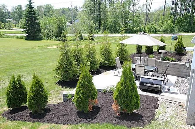 3 bed, 1600 sqft, $3,500 — Photo 3