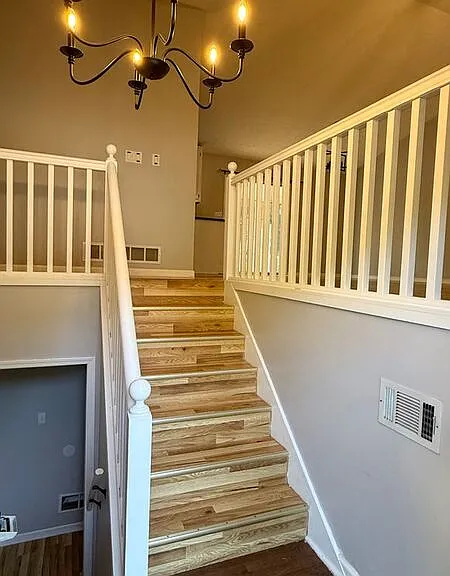 2830 Pine Meadow Dr — Photo 4