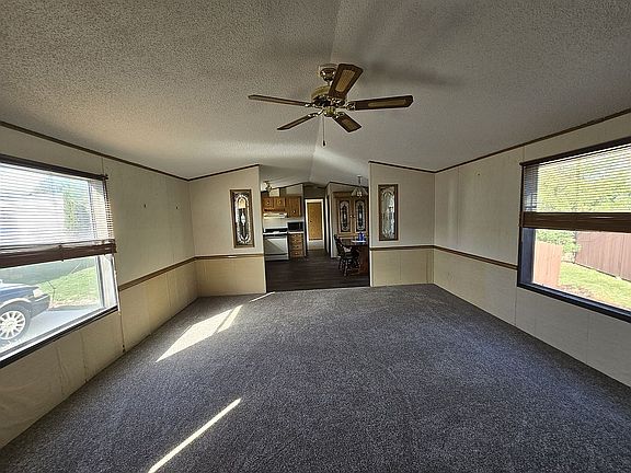 Living room vaulted ceiling