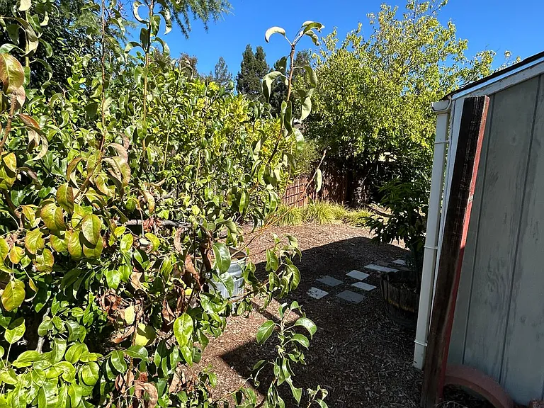 566 Joaquin Dr — Photo 7