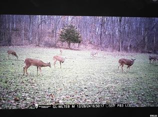 Christian Neck Rd, Rushville, IL 62681