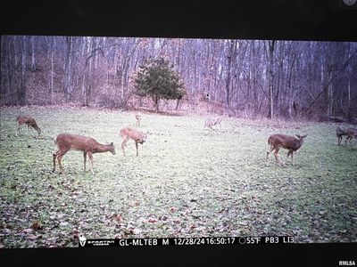 Christian Neck Rd, Rushville, IL, 62681