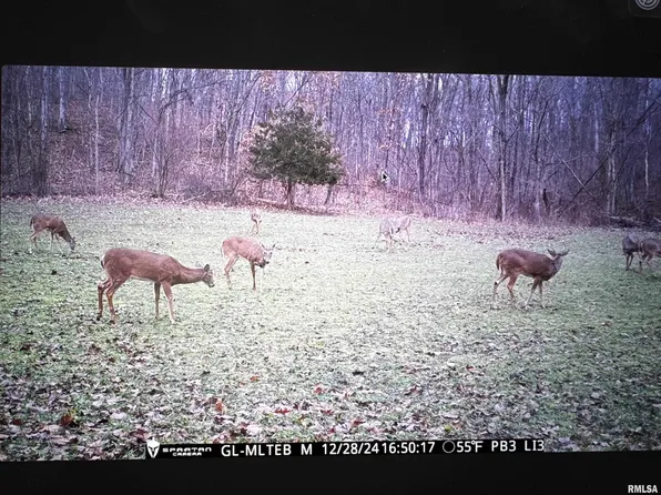 Christian Neck Rd, Rushville, IL 62681