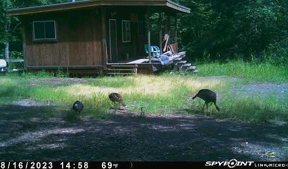 3rd image of W2590 Wilson Road