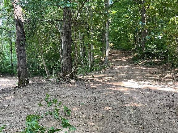 3rd image of 0 Idumea Rd Lot 0