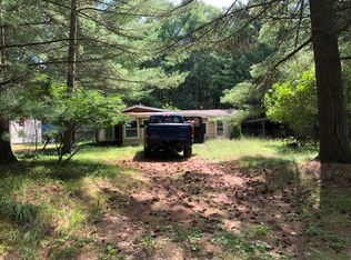 9958 S Birchwood Dr, Baldwin, MI 49304